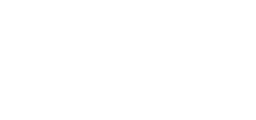BVC logo B DIAP