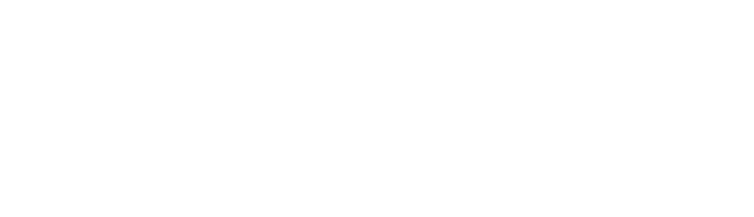 LEWIS LOGO 2021 white