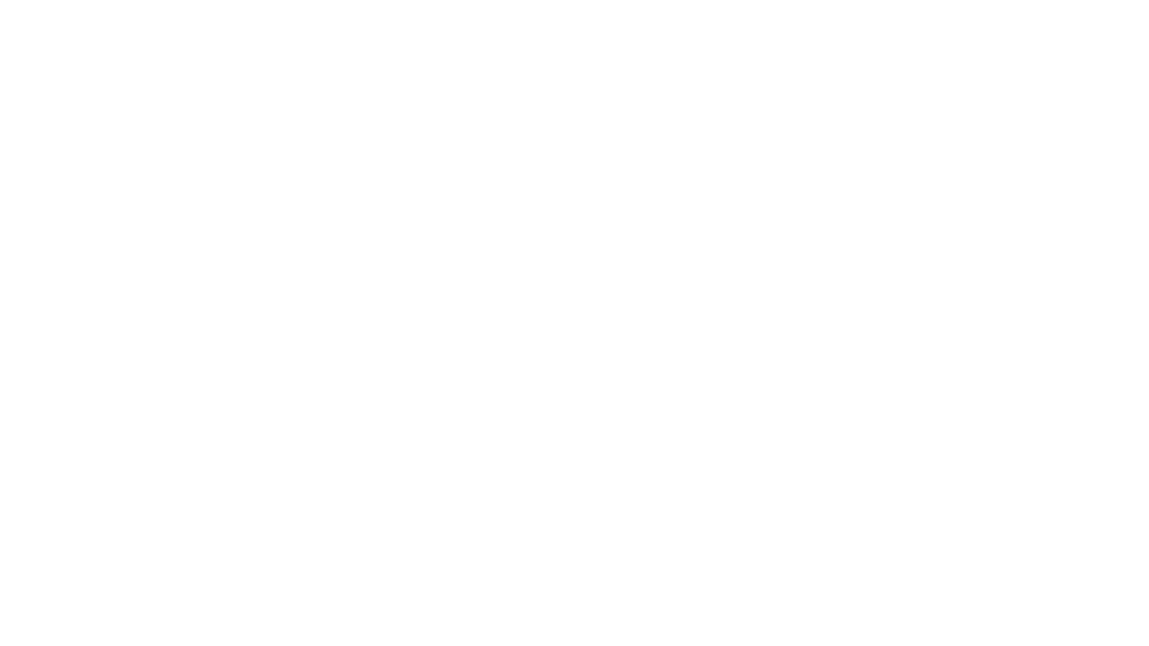 Pitt wit website