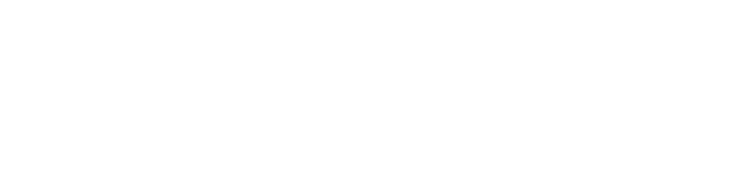 Primair logo wit