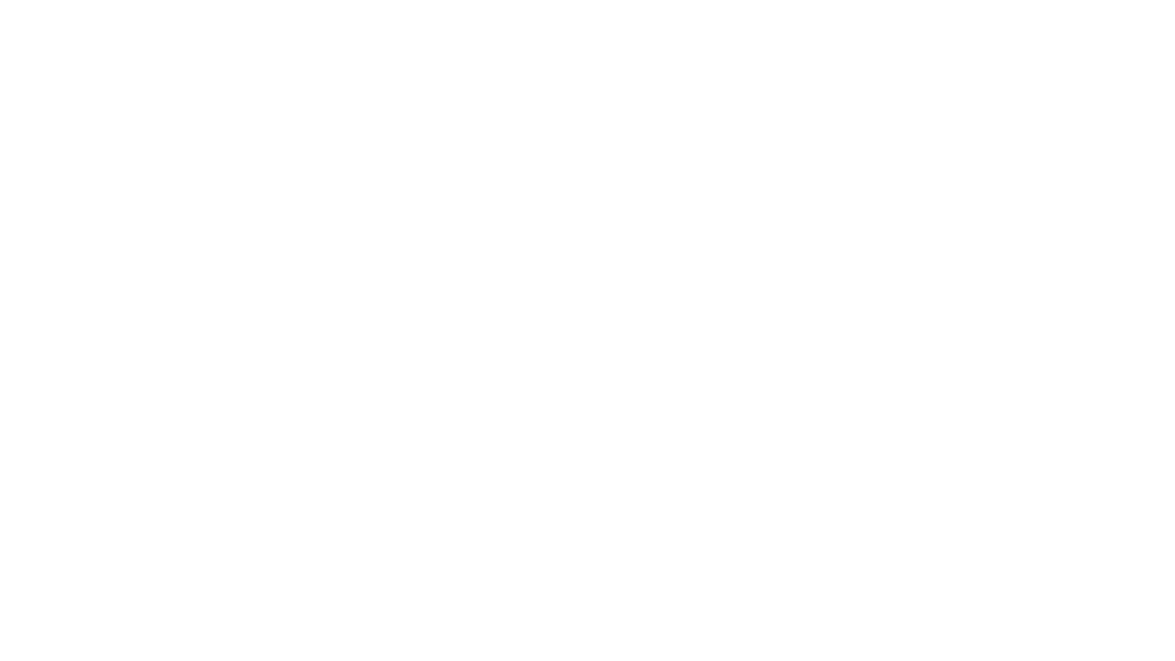 TDC Groep wit website