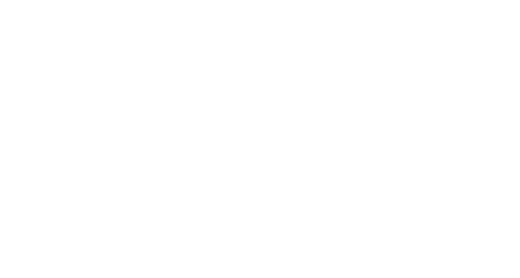 Tempo Team diap logo