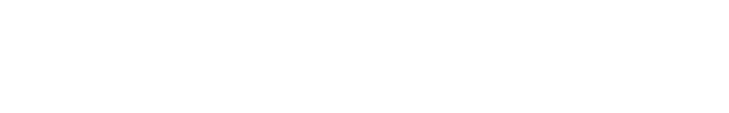 VDB Notarissen 2024 DIAP