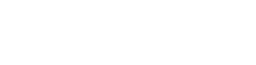 Vissers Legal Logo white 01
