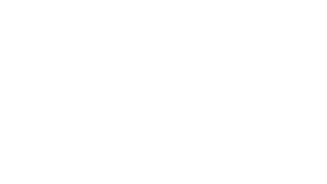 Proton wit website