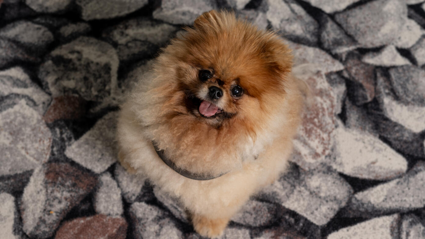 Web Sharonvan Rouwendaal 6999