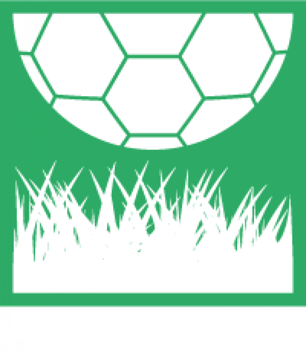 Logo sports landscape footer