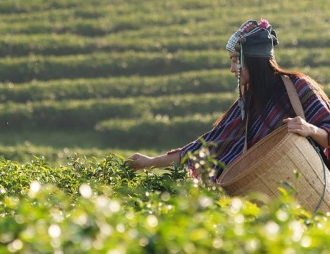 Women empowerment is cruciaal voor het einde van honger