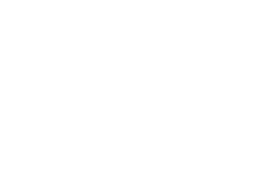 Logo partner shell v2