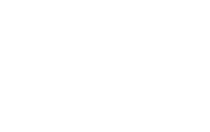 Logo partner toyota v2