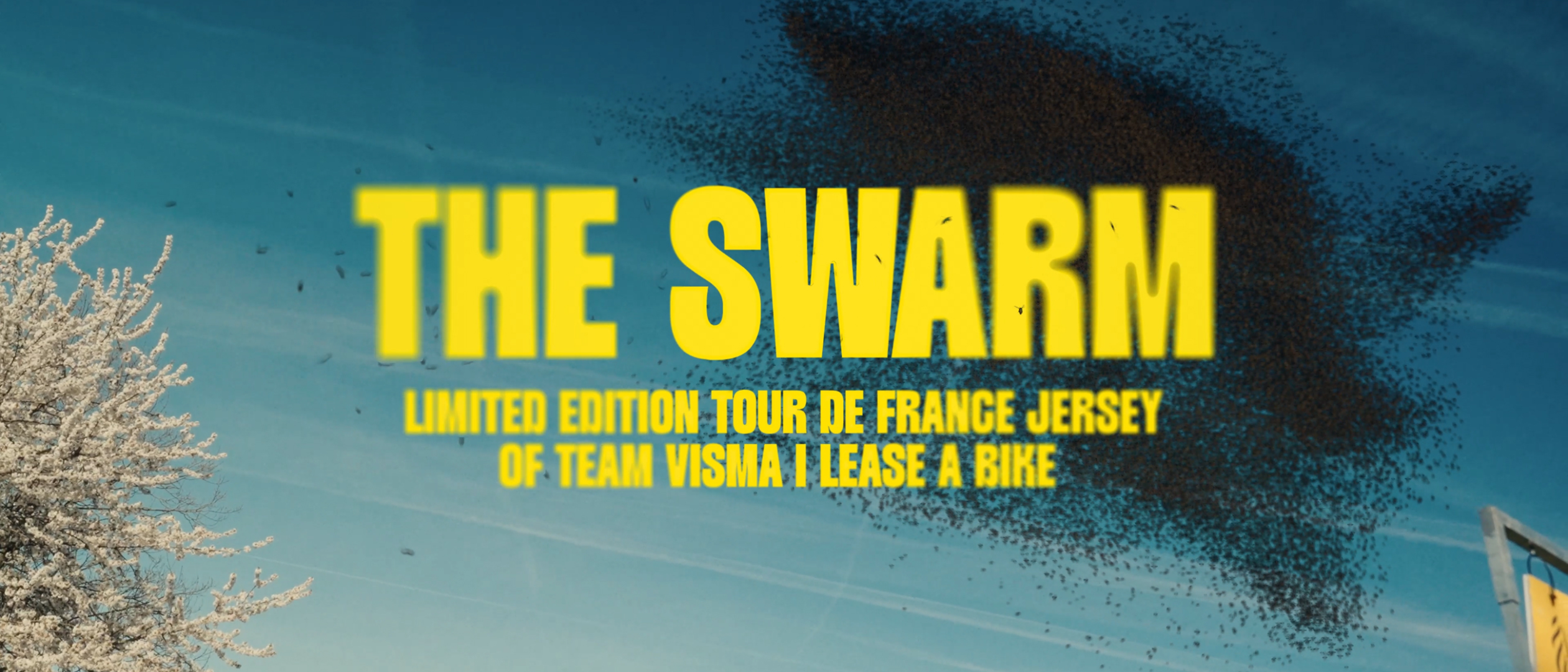 On Your Marks The Swarm header