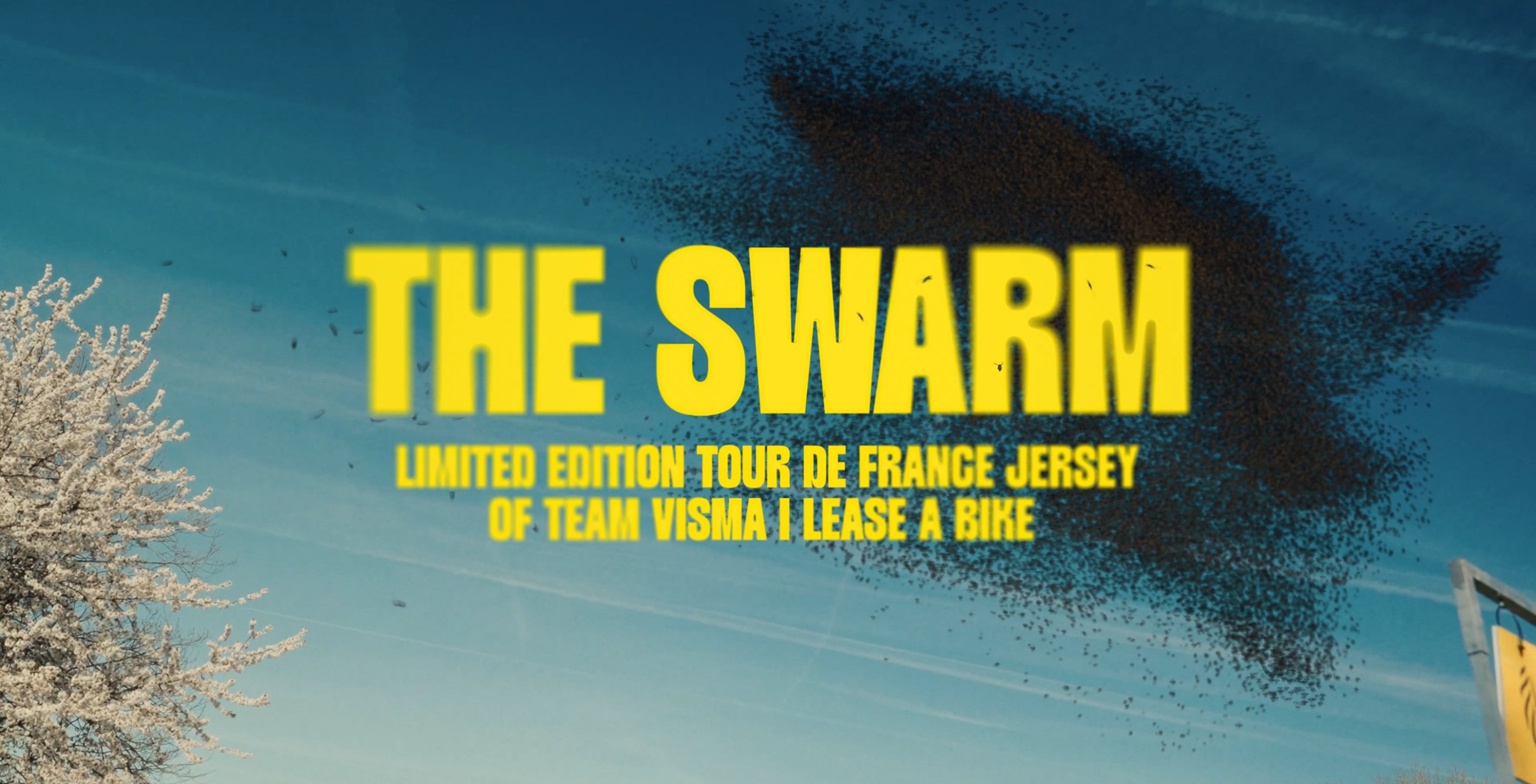 On Your Marks The Swarm header