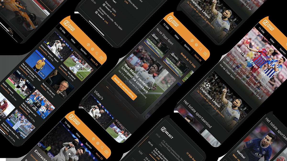Tde ziggosport website