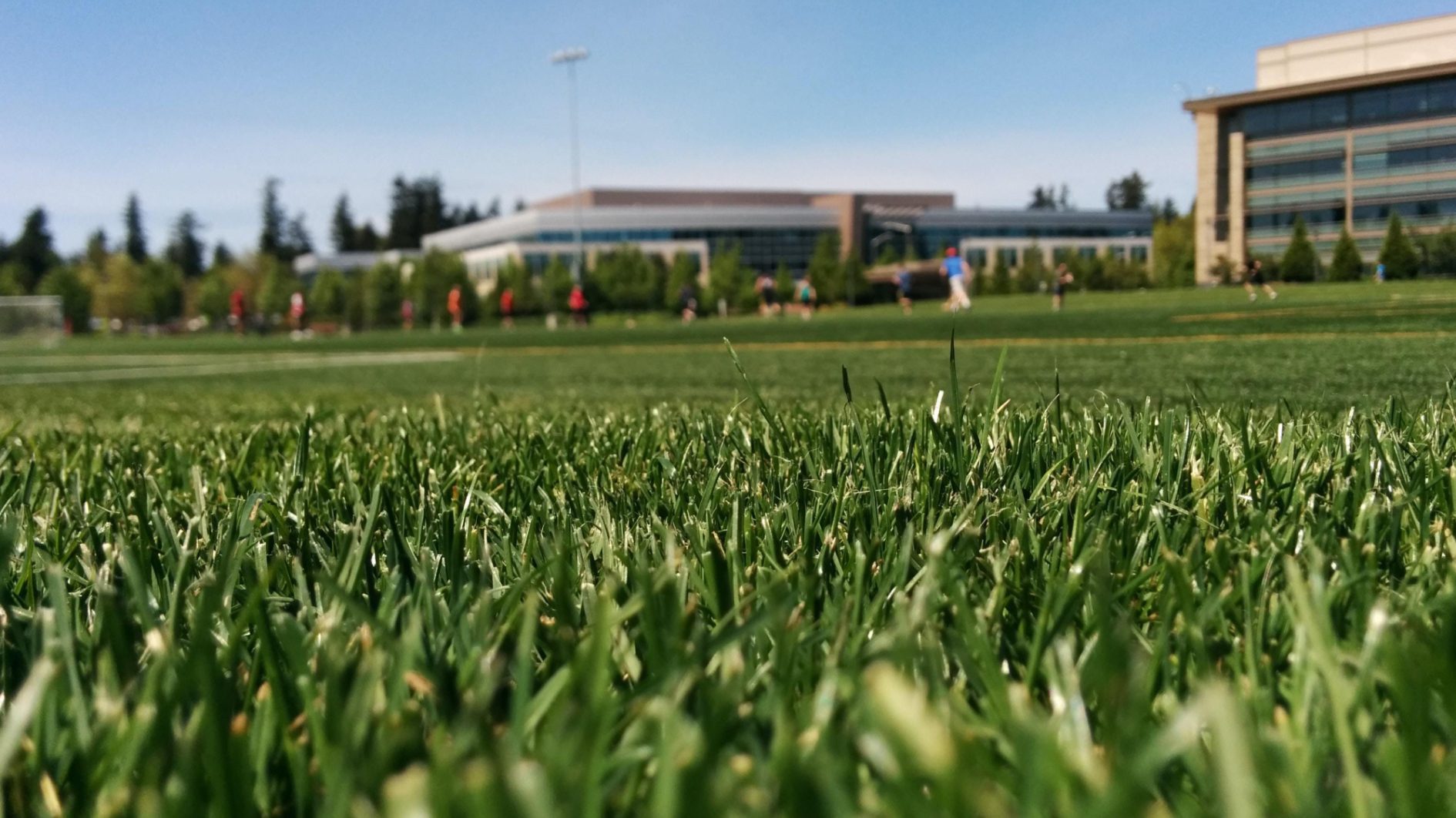Greening the Sports World Expo Dubai Header