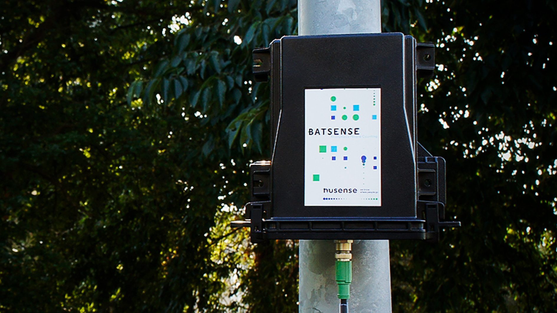 Husense Batsense Lamppost square Foto Michael de By