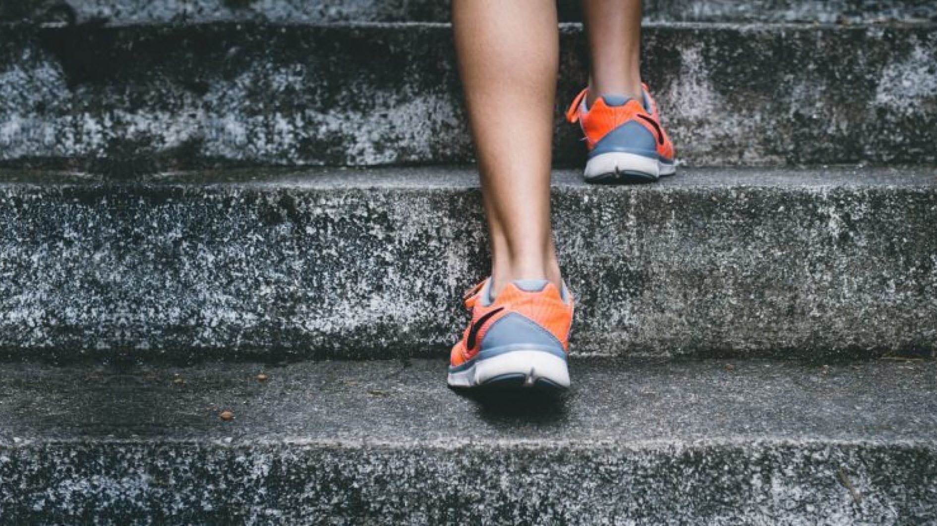 Beeld verbreed 1024x415