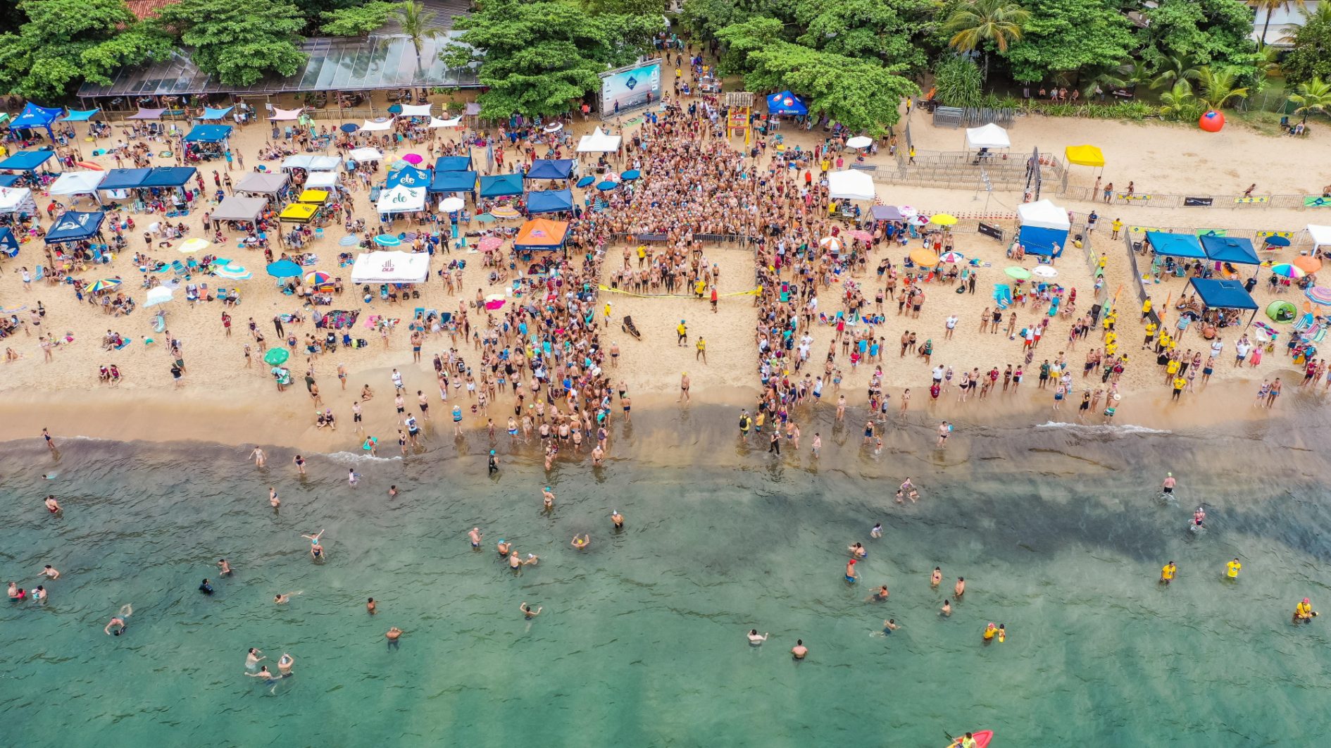 Pexels sergio souza 3772250