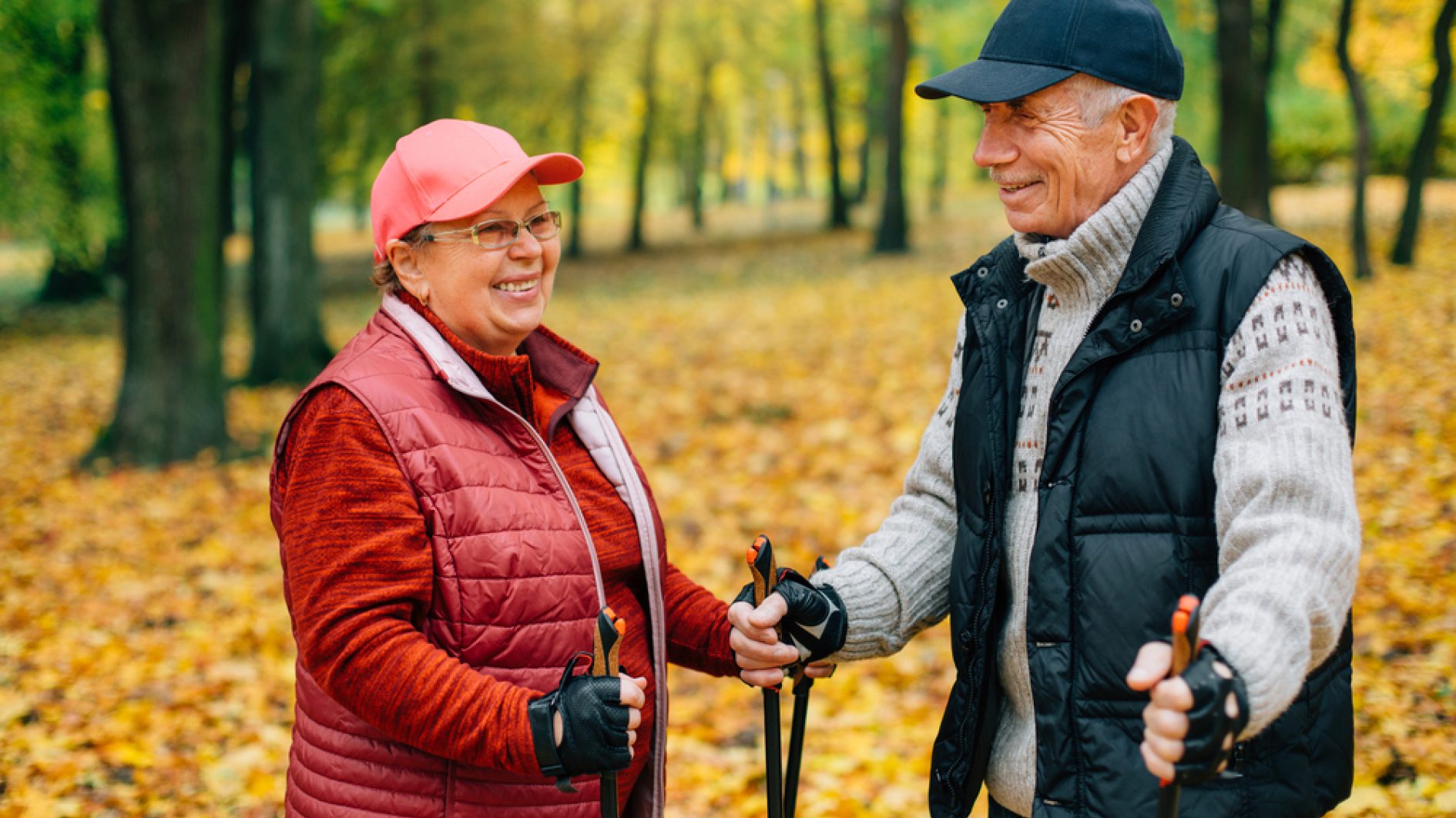 Shutterstock 740268058